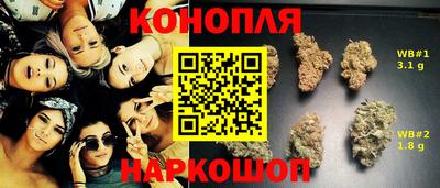 гидра Бузулук