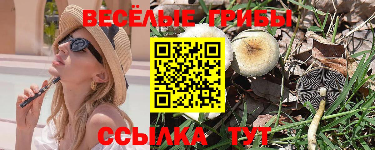 Урай  Галлюциногенные грибы ЛСД  Вход с VPN 
