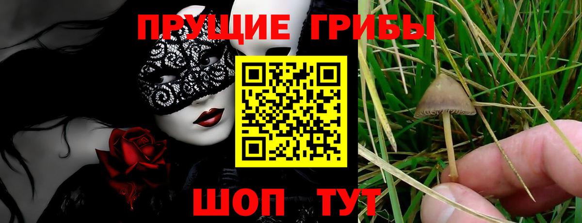 Псилоцибиновые грибы Magic Shrooms Урай
